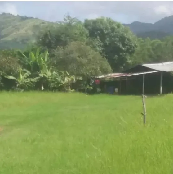 Terreno En La Urbanización Nueva Guiria Ve10-092gc-jgut 