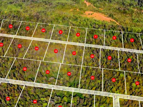 Increíble Parcela En Plena Selva Valdiviana 5000m2