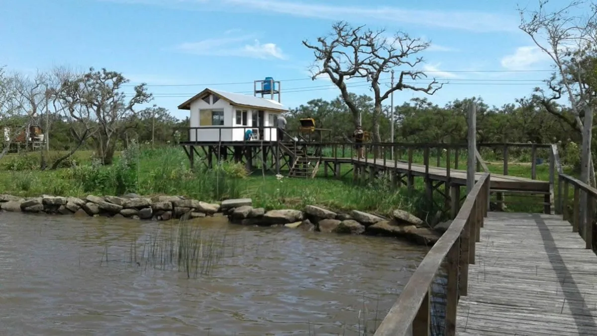 Venta 8,4 Ha Para Inversión  Canal Honda - Delta