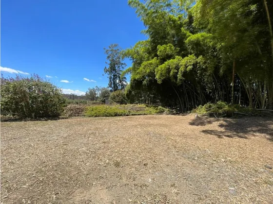 Lote En Venta En Rionegro - Llano Grande 