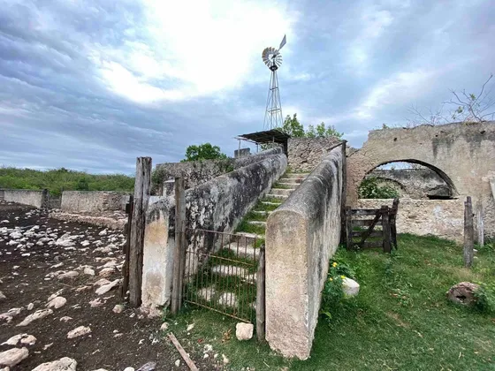 Rancho Ganadero En Tizimín, Yucatán