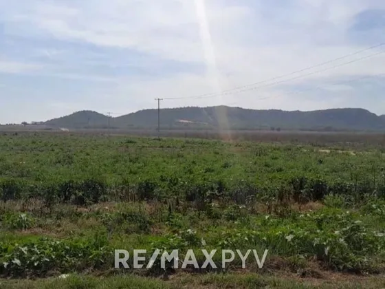 Terreno En Venta En Montemorelos, Nuevo León