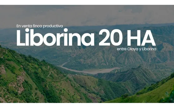 Finca En Venta En Liborina, Antioquia