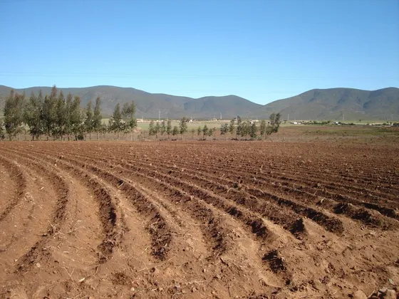 Parcela En Venta En Coquimbo