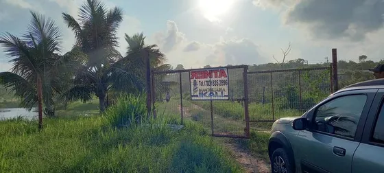 Renta Terreno 6 Hectareas Ejido La Victoria Tuxpan Veracruz