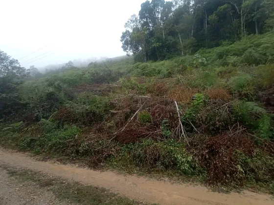 Terreno