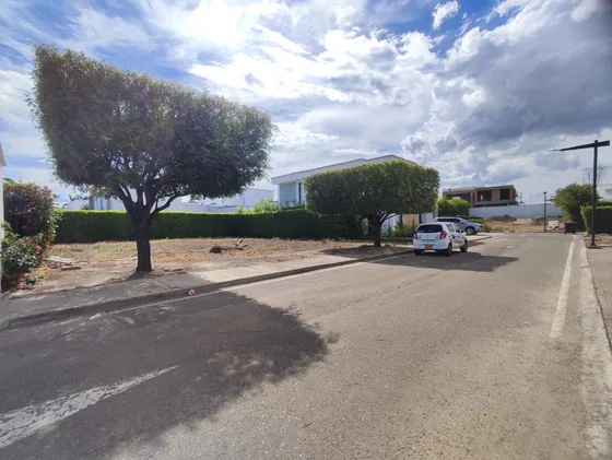 Lote En Venta En Bocono. Cod V28250