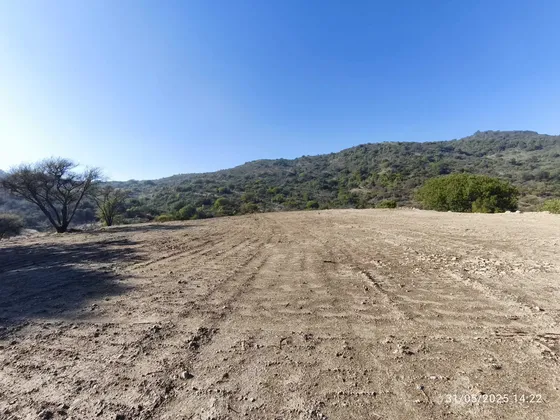 Vende Parcela, 5.000 Mt2, Cerro Los Cristales (99970)