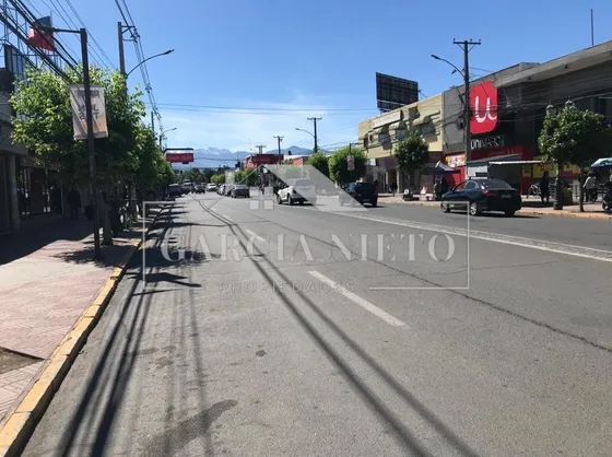 Local Comercial En Avenida Principal De San Fernando