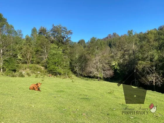 Parcela Con Casa E Instalaciones, 1 Hectarea