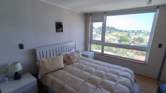 Arriendo Dpto Amoblado 1d 1b 1e Concepcion (22866)