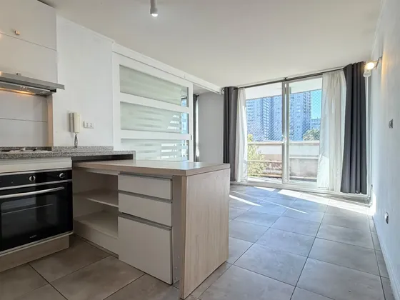 Departamento En Arriendo 1d/1b En Santiago