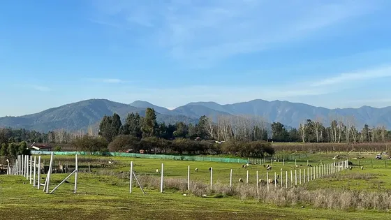 Parcela En Venta Cercana Al Lago Rapel- Oportunidad