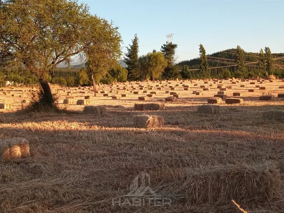 Parcela En Venta En Pelarco