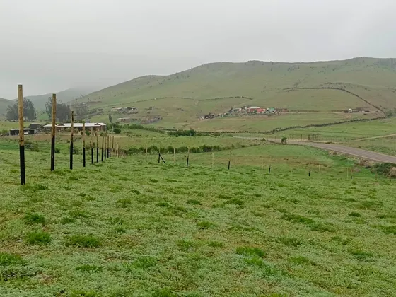 Exclusiva Parcela Talinay Naturaleza Y Tranquilidad