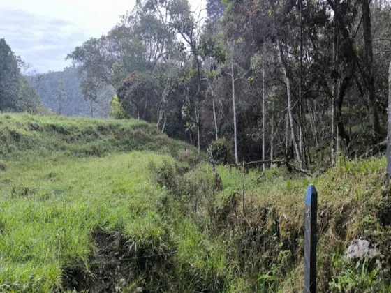  Lote En Venta Ubicado En Santa Elena Sector Vereda La Honda (27328).