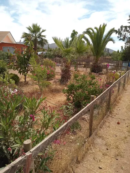 Se Vende Parcela Con 4 Casas, Solo Se Describe La Principal