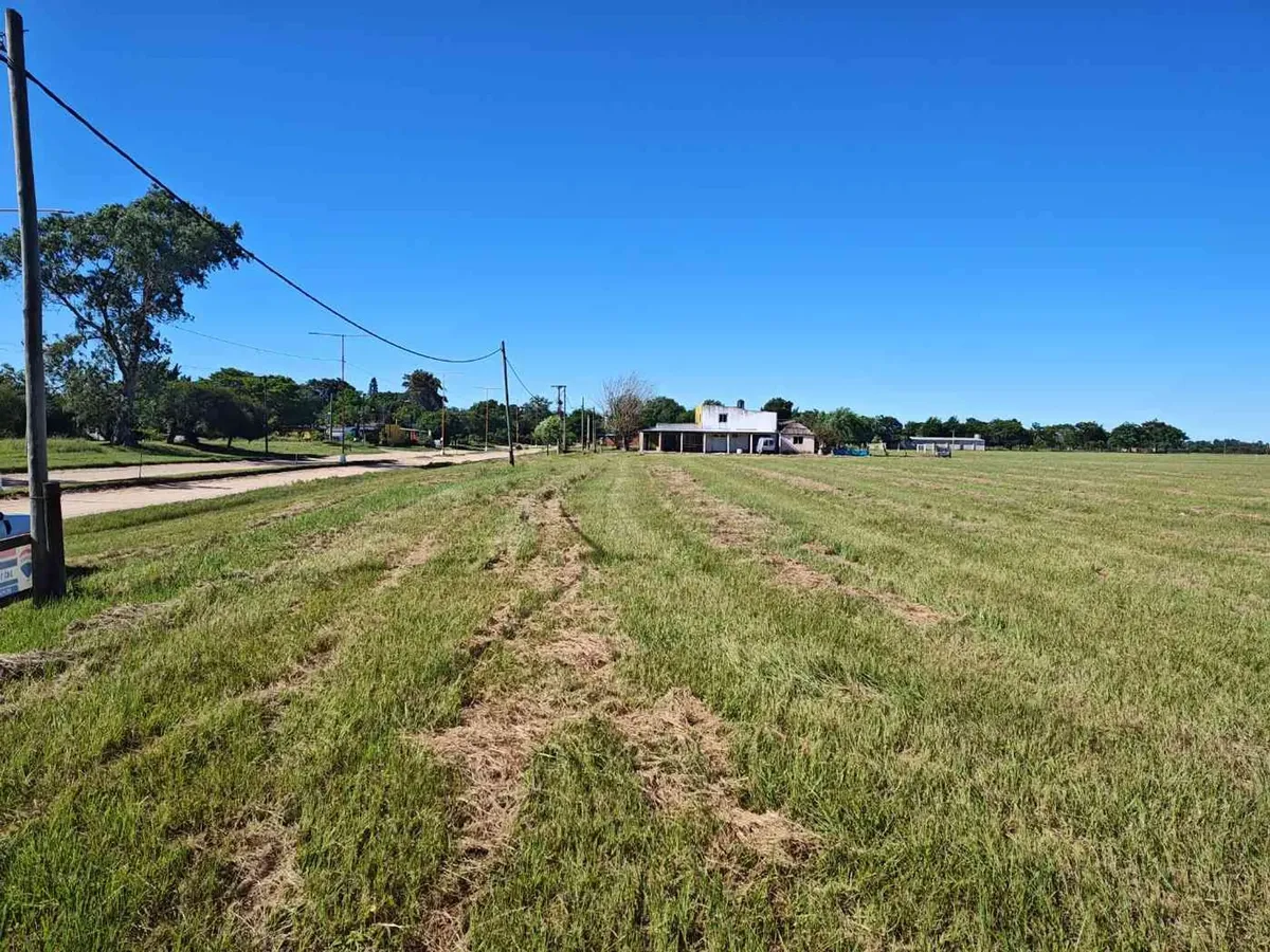Large Plot for Sale in Cayastá.