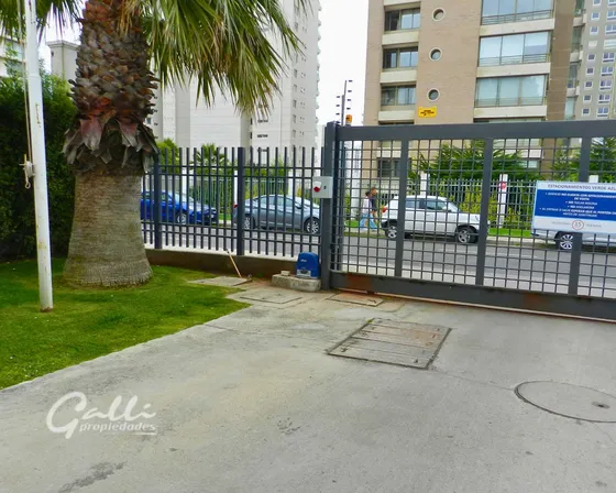 Estacionamiento Los Pellines/los Olivillos (92119)