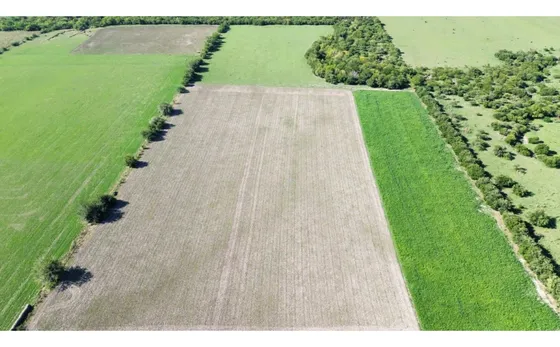 Vendo Campo De 14 Hectáreas En Pronunciamiento, Entre Ríos.