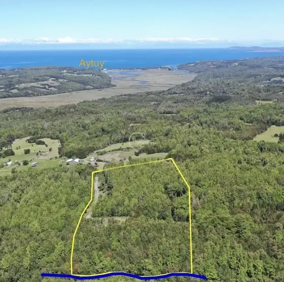 Parcela En Venta En Queilén