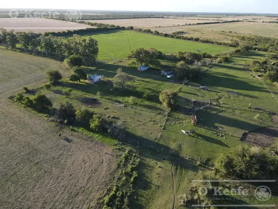 207 Campos en Venta en Entre Ríos