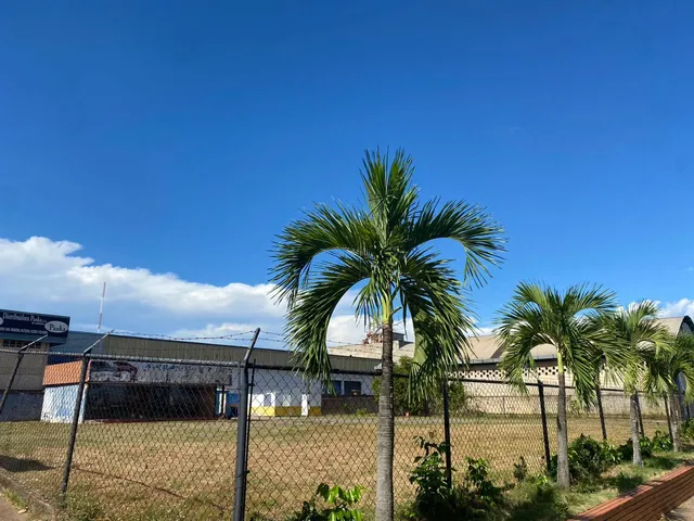 Inmobipiña Vende Terreno En Av. Paseo Caroni, Puerto Ordaz, Estado Bolivar Lp