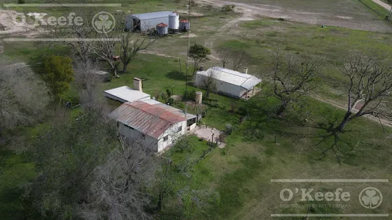 Campo Ganadero En Venta - Calchaqui 1200 Has - Con Frente Sobre Ruta