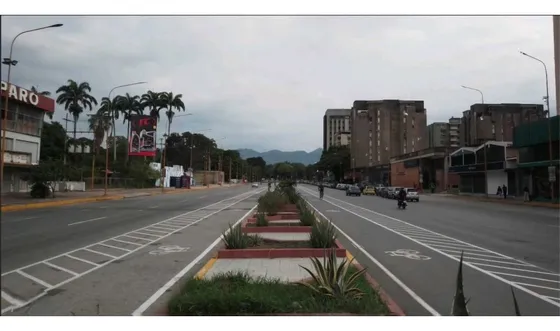 Venta Terreno Av Bolivar Norte 9672 Mtrs2