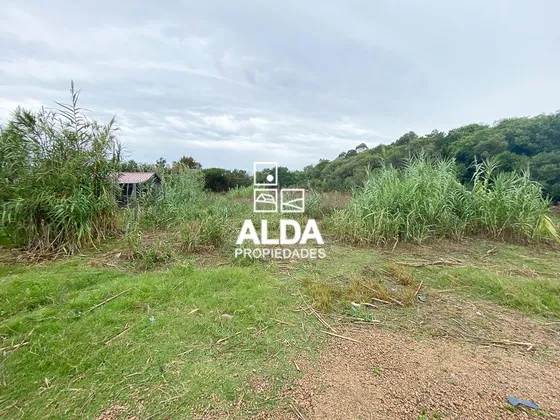 Terreno San Francisco Piriápolis Venta Te501541