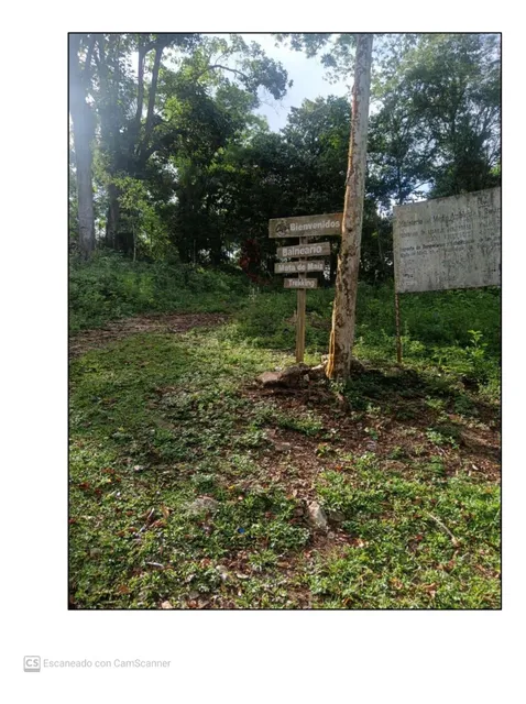 Terreno En Venta En Polo Barahona Camino Mata Maíz 