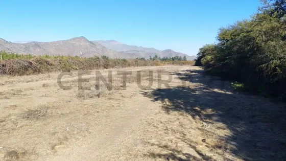 Se Vende Terreno En San León De Nos