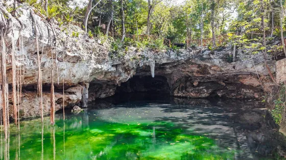 Terreno En Venta En  Tulum Akumal