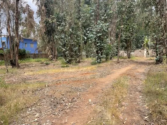 Terreno Maitencillo Sur