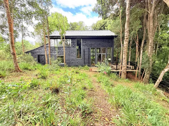 Casa En Venta En Frutillar Bajo