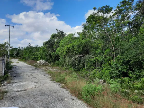 Terreno En Fracc. Rinconada Colegios, Cancún