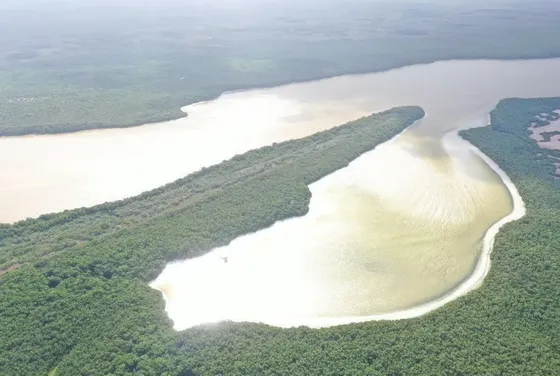 Venta De Terreno En La Reserva De Celestún