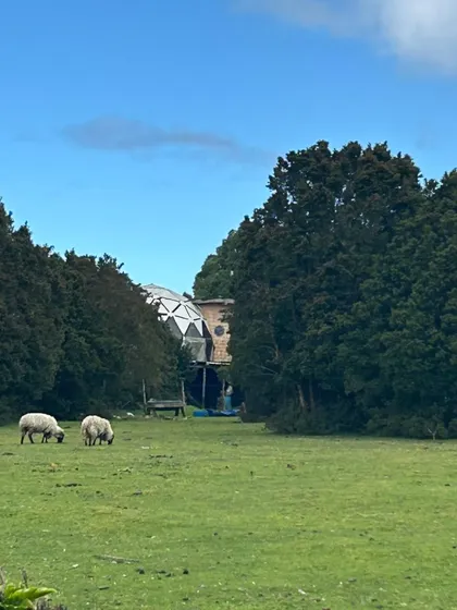 Se Vende Terreno En Isla Cailin