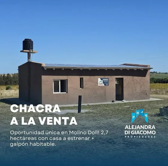 Chacra A La Venta, Molino Doll