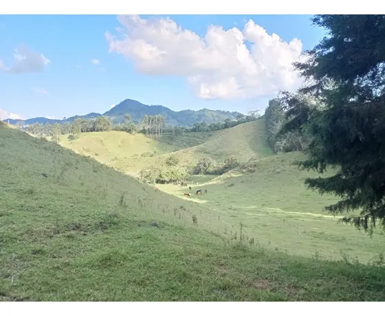 Lote En Venta En Parcelación Entrega 2025, El Retiro