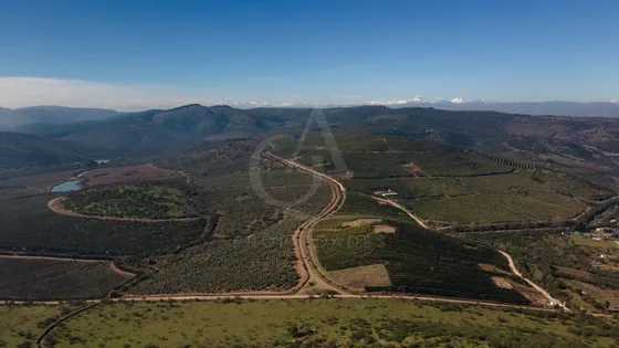 Terrenos En Venta, Fundo Miradores Del Valle.