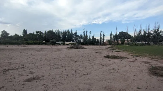 Alquiler De Terreno De 1 Ha En Russell, Maipú