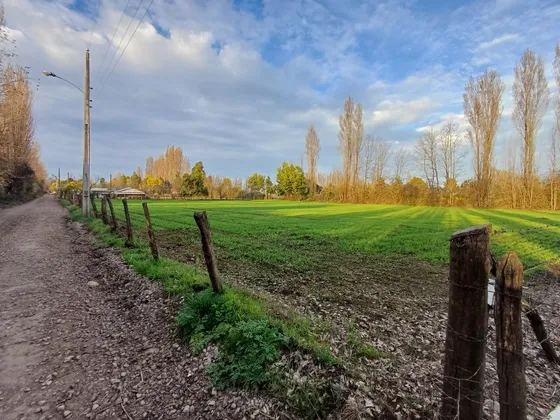 Terreno 5.000 M2 San Carlos Ñuble