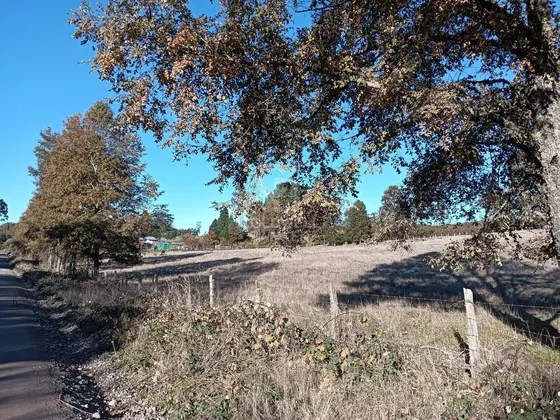 Oportunidad De Inversión | Tegualda