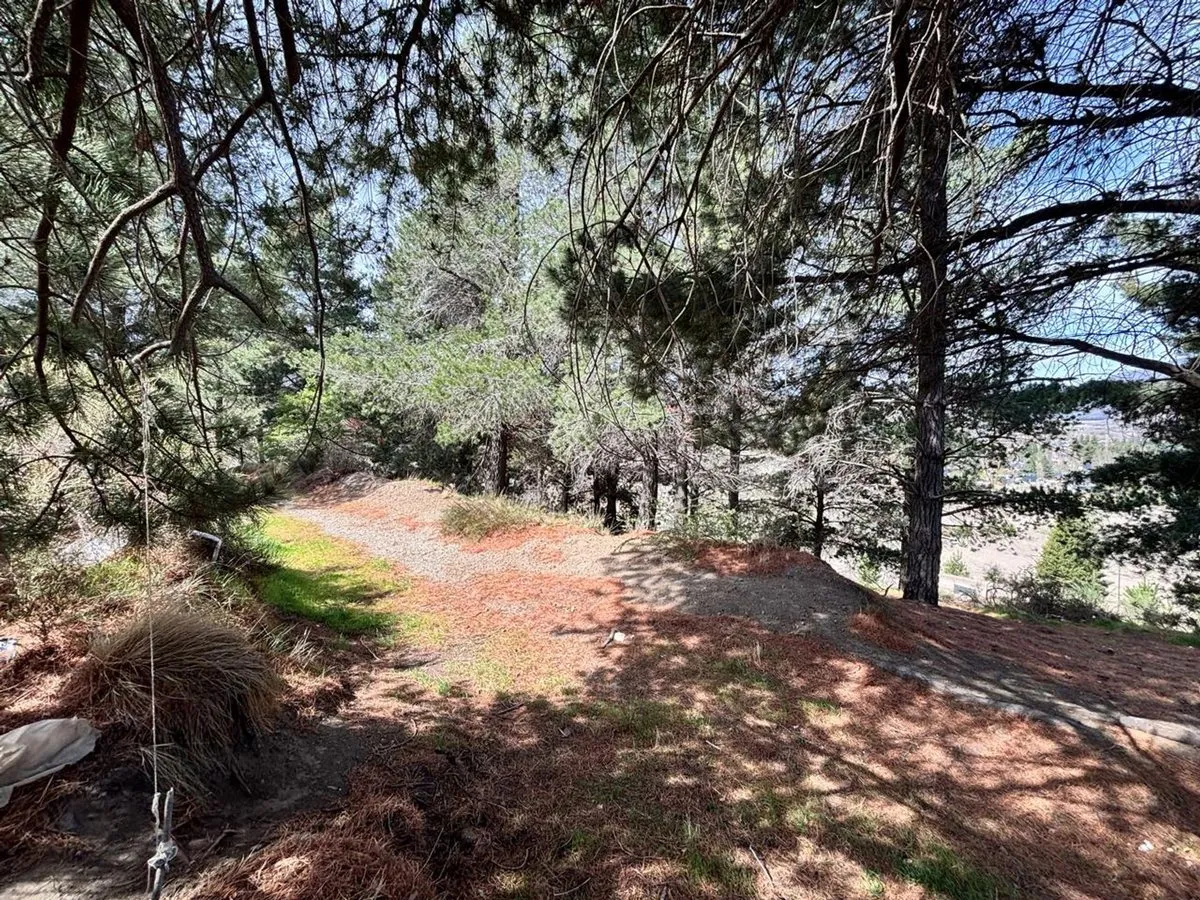 Land for Sale in Esquel