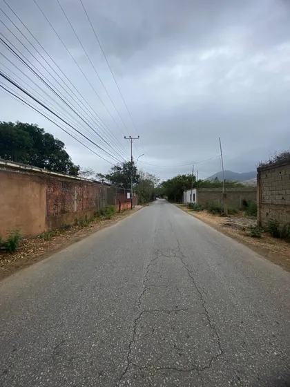 Terreno En El Sector Guayabal, La Asunción