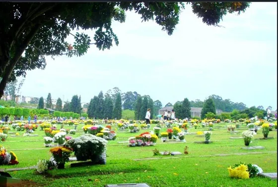 Jazigo De 3 Gavetas No Cemitério Do Carmo I