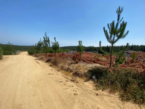 Venta Parcela Playa Monaco,pichilemu Vi Regio (102338)