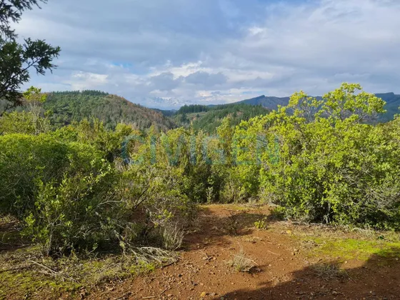 Tranquilidad Parcela 0,5ha (102345)