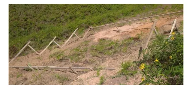 Terreno En Venta Sector Merida Parque Urbanizacion Colinas De Carrizal